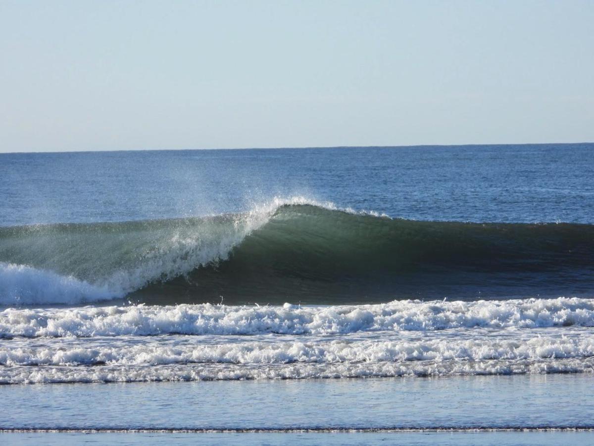 Pelicano Surf Camp Apartman La Libertad Kültér fotó