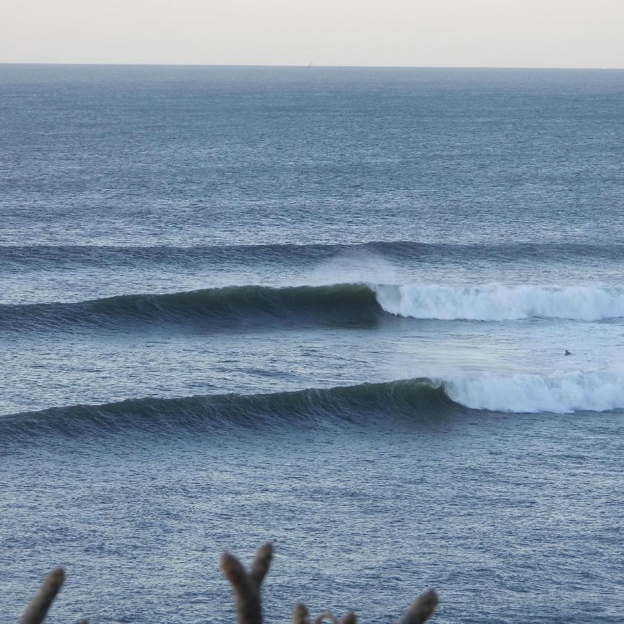 Pelicano Surf Camp Apartman La Libertad Kültér fotó